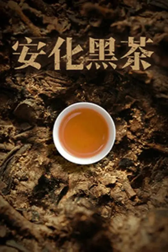 权力的游戏